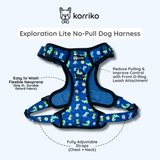 Ultimate Exploration No-Pull Harness Bundle Set - Dino (6-Piece)