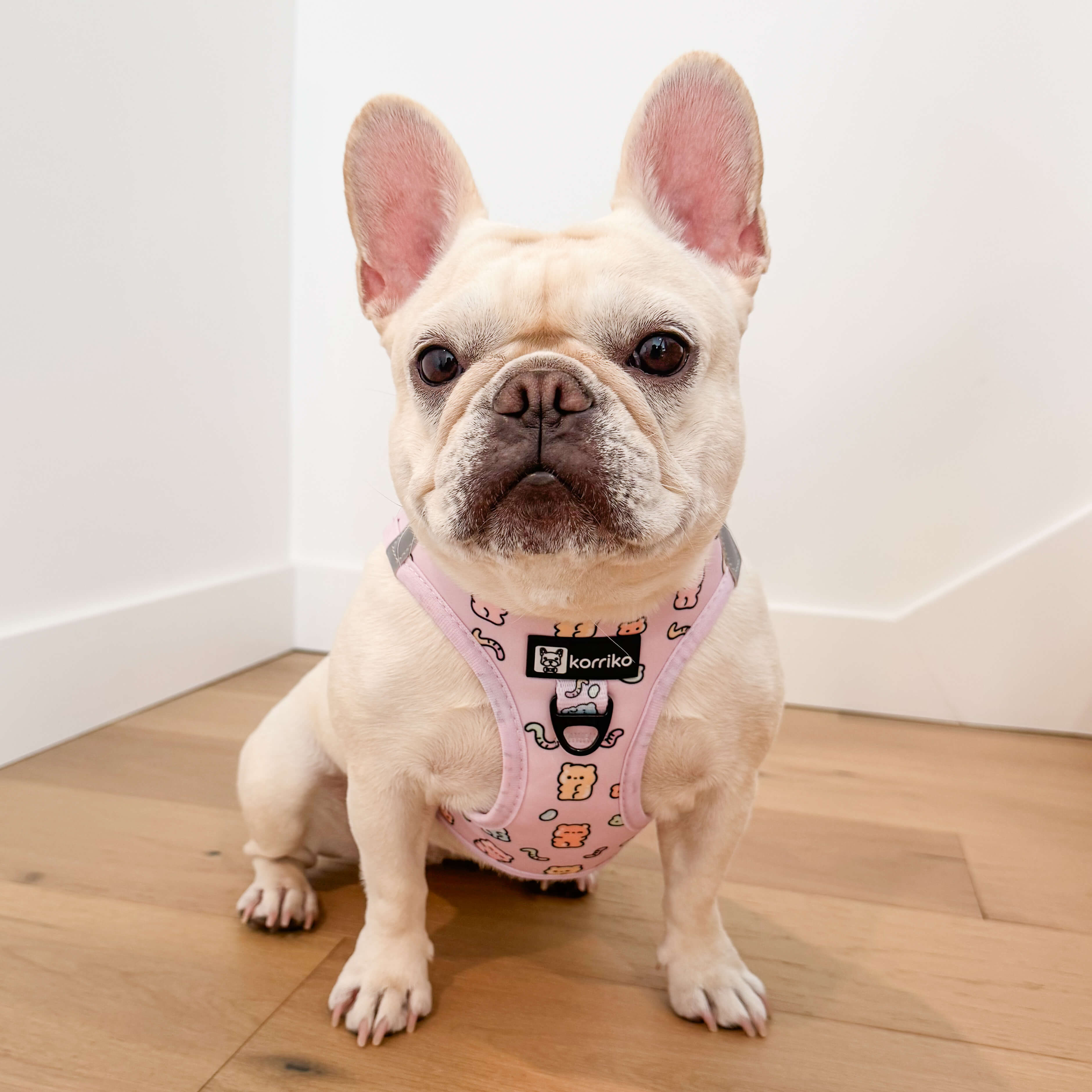 Step-In Dog Harness - Gummy Bear