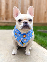 Ultimate Collar Bundle Set - S'mores (5-Piece)