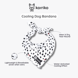 Ultimate Collar Bundle Set - Spotted (5-Piece) (Final Sale)