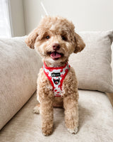 Step-In Dog Harness - Strawberries & Cream