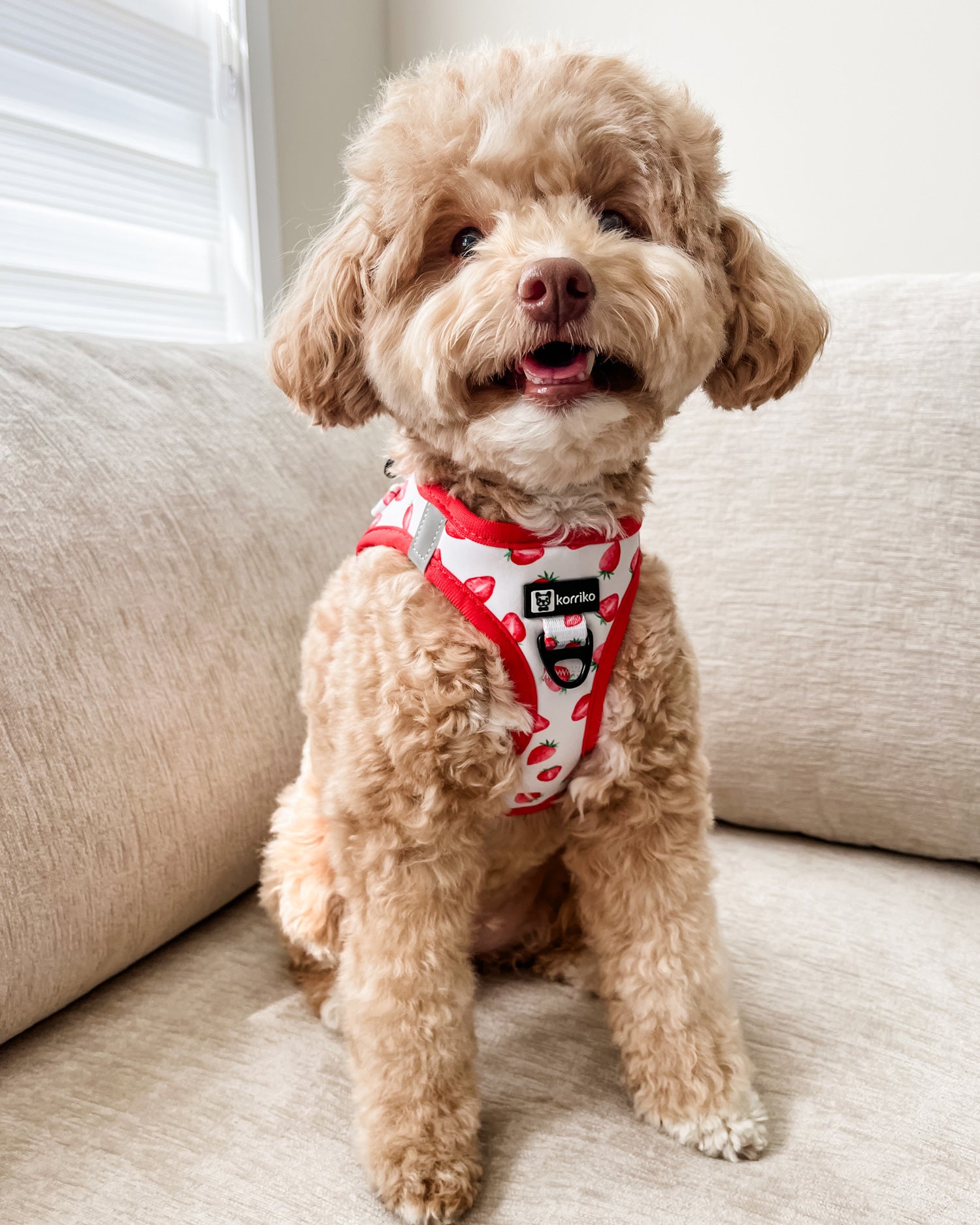 Step-In Dog Harness - Strawberries & Cream