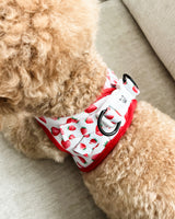 Step-In Dog Harness - Strawberries & Cream