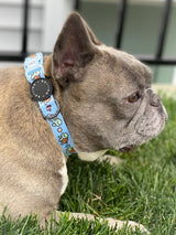 Ultimate Collar Bundle Set - Under The Sea (5-Piece)