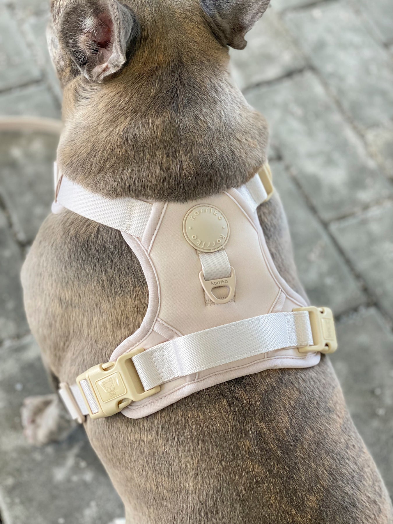 Exploration Lite No-Pull Dog Harness - Almond Nude (Final Sale)