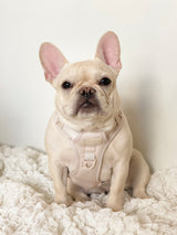 Exploration Lite No-Pull Dog Harness - Almond Nude (Final Sale)