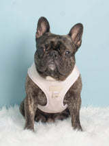 Step-In Dog Harness - Almond Nude (Final Sale)