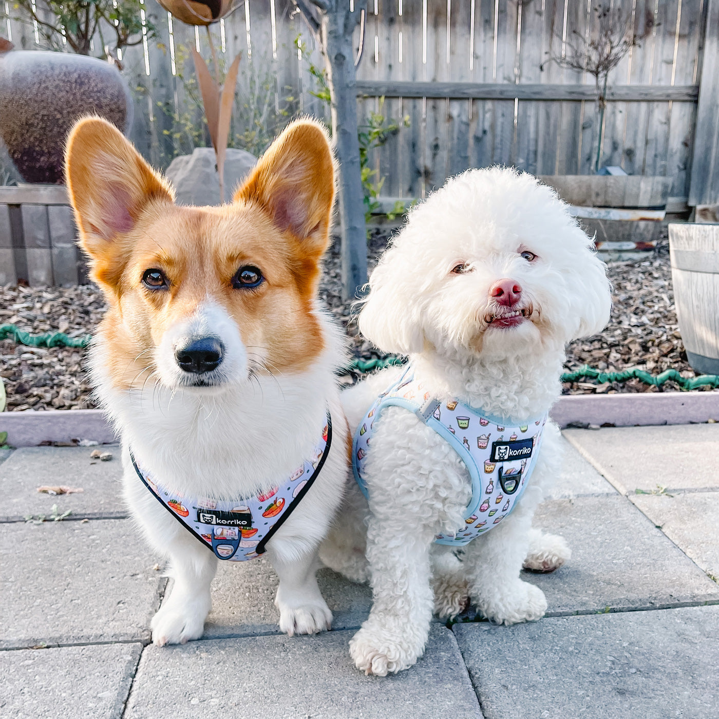 Step-In Dog Harness - Boba