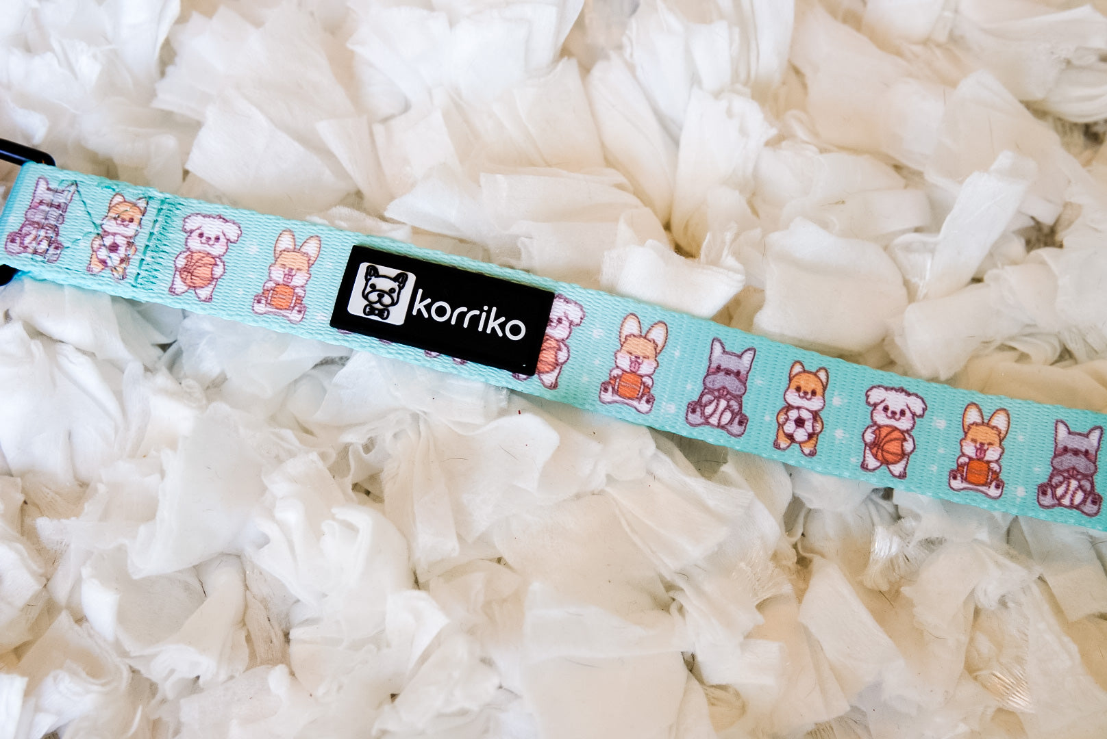 Dog Leash - Dream Team (Final Sale)