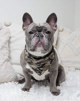 Cooling Dog Bandana - Green Camo (Final Sale)