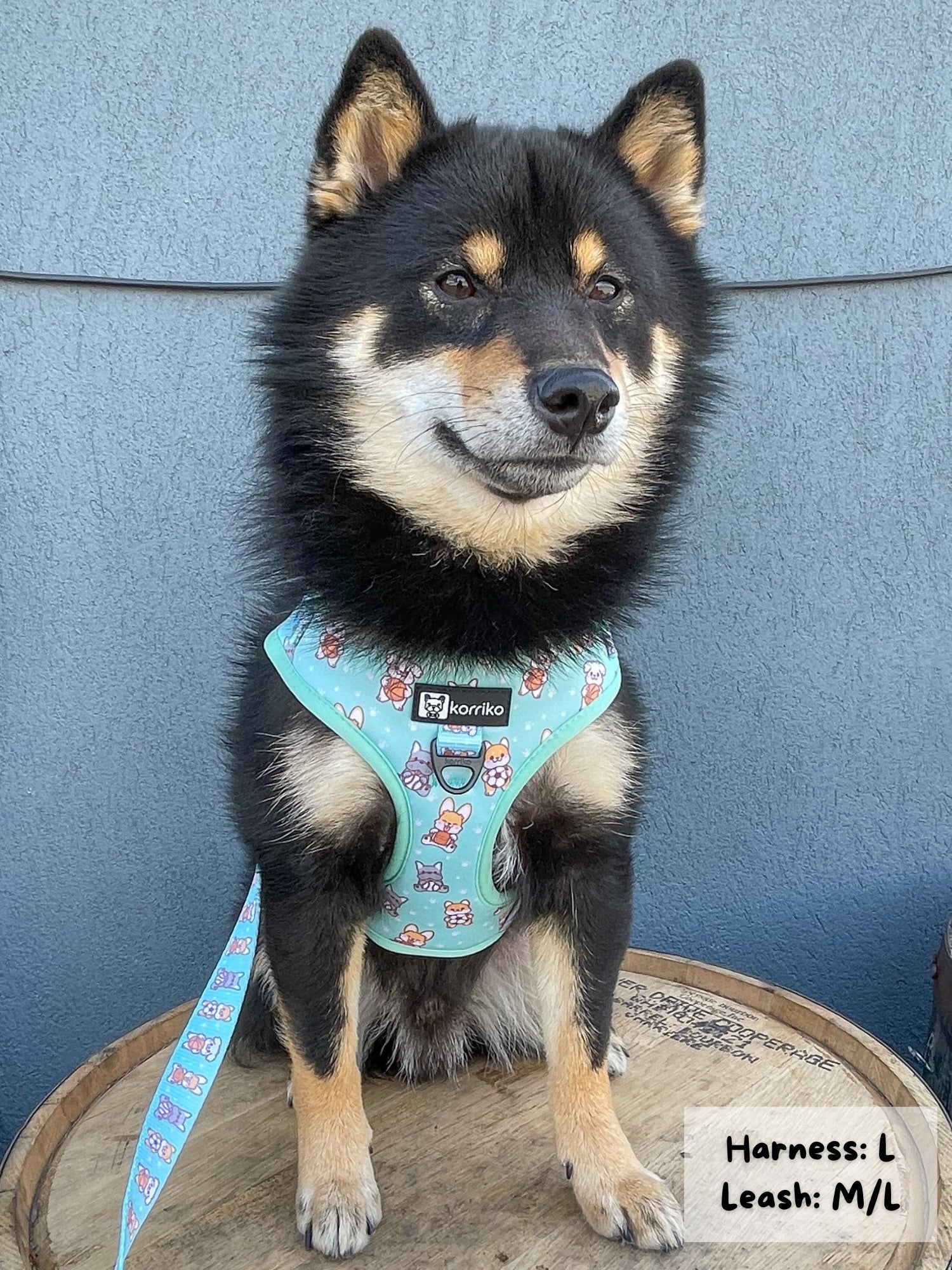 Adjustable Dog Harness - Dream Team (Final Sale)