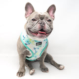 Classic Dog Harness - Sweet & Simple (Blue Paw Co. - FINAL SALE)