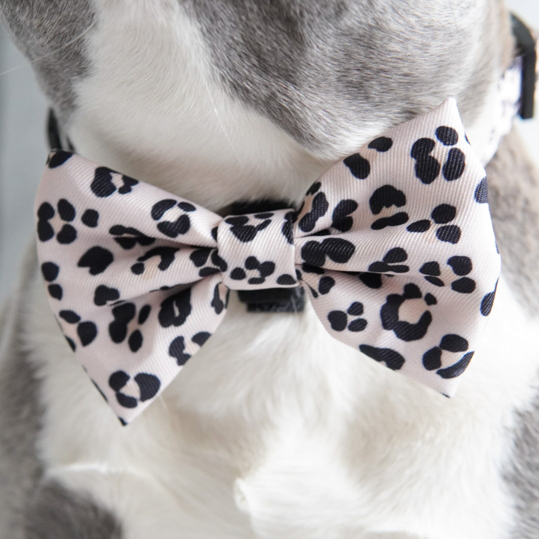 Dog Bow Tie - Leopard (Blue Paw Co. - FINAL SALE)