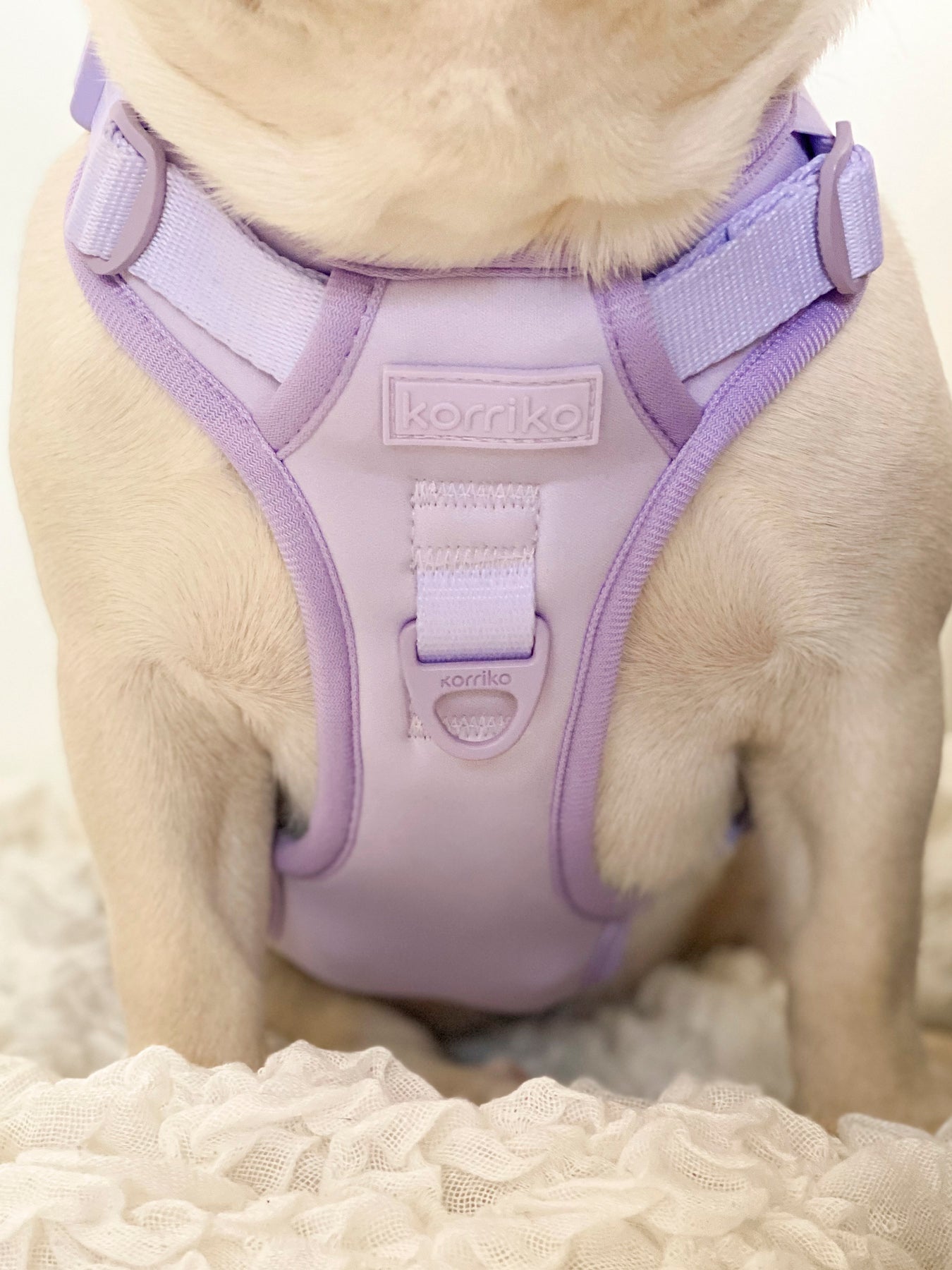 Exploration Lite No-Pull Dog Harness - Lilac (Final Sale)