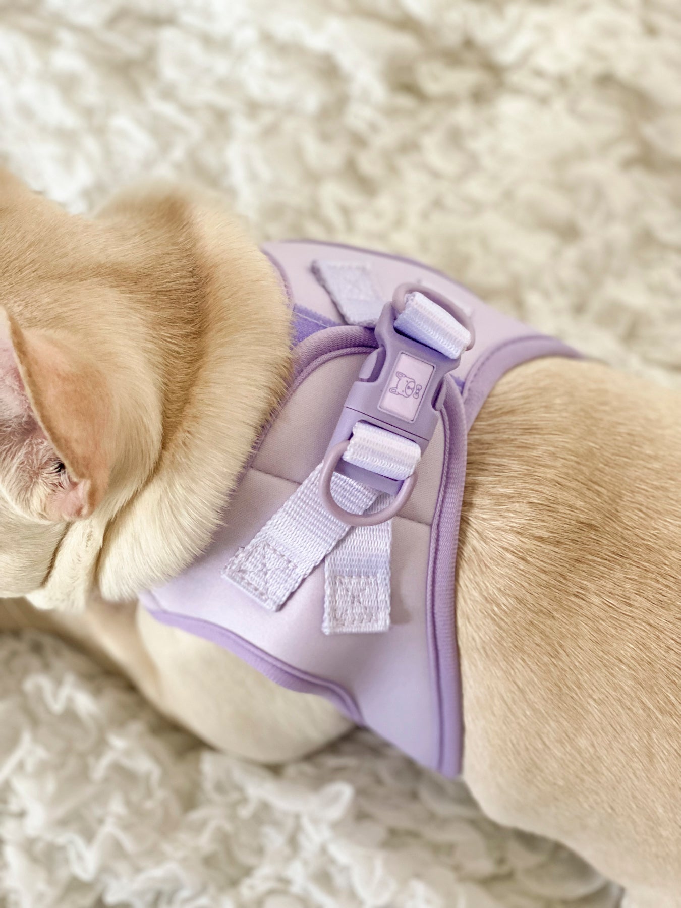 Step-In Dog Harness - Lilac (Final Sale)