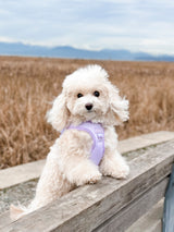 Step-In Dog Harness - Lilac (Final Sale)