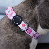 Ultimate Collar Bundle Set - Patisserie (4-Piece) (Final Sale)