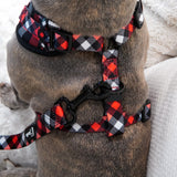 Adjustable Dog Harness - Red Plaid (SECONDS - FINAL SALE)