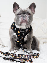 Classic No-Pull Dog Harness - Space Cadet (Final Sale)
