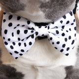 Ultimate Collar Bundle Set - Spotted (5-Piece) (Final Sale)