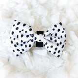 Ultimate Collar Bundle Set - Spotted (5-Piece) (Final Sale)
