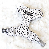 Adjustable Dog Harness - Spotted (SECONDS - FINAL SALE)