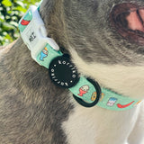 Dog Collar - Thanks A Brunch (SECONDS - FINAL SALE)