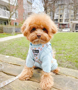 Step-In Dog Harness - Boba