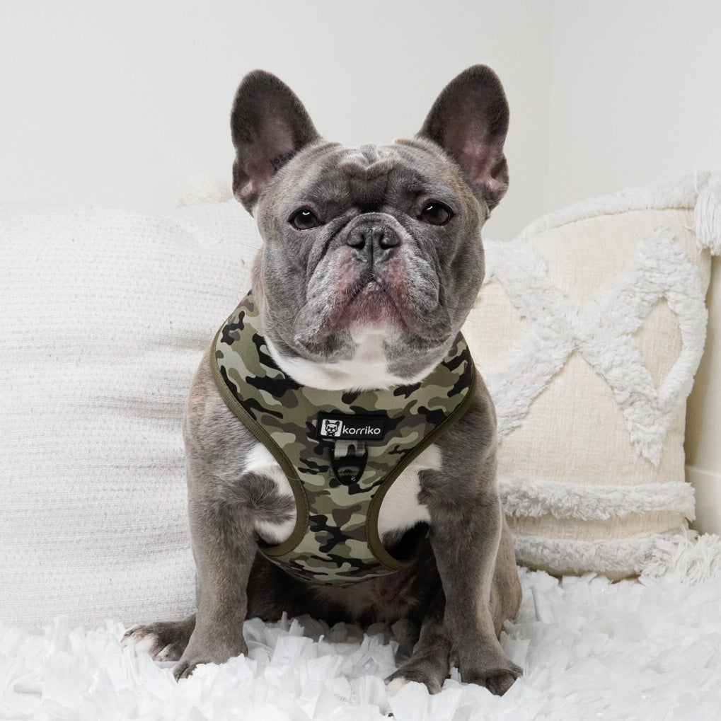 Classic No-Pull Dog Harness - Green Camo (Final Sale)