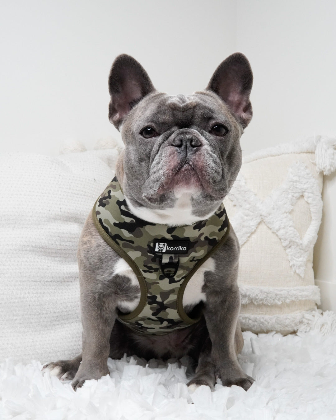 Classic No-Pull Dog Harness - Green Camo (Final Sale)