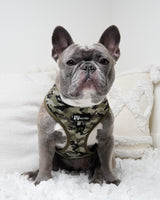 Classic No-Pull Dog Harness - Green Camo (Final Sale)
