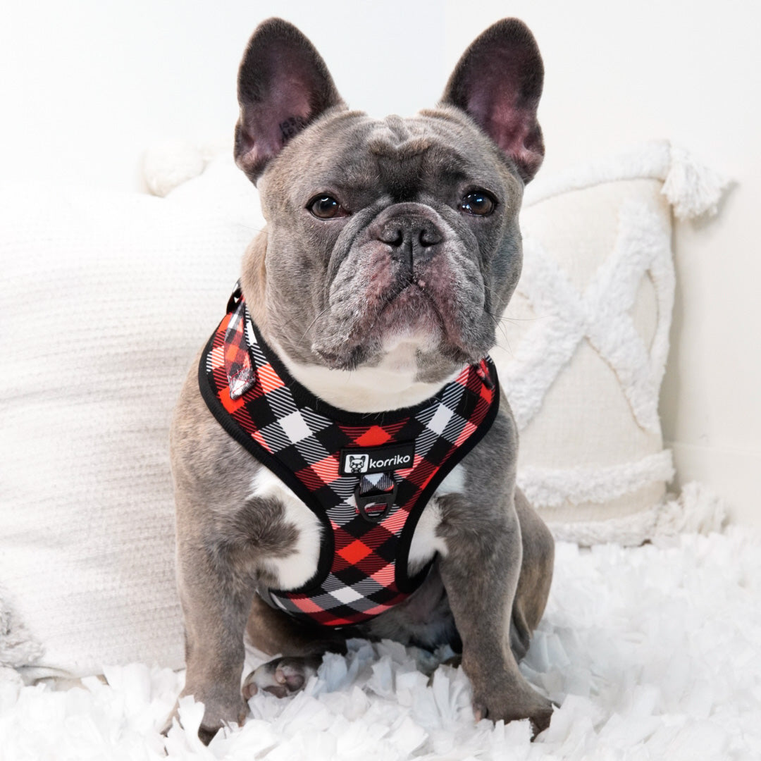 Adjustable Dog Harness - Red Plaid (SECONDS - FINAL SALE)
