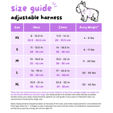 Essential Adjustable Harness Walk Set - Gummy Bear (3-Piece)