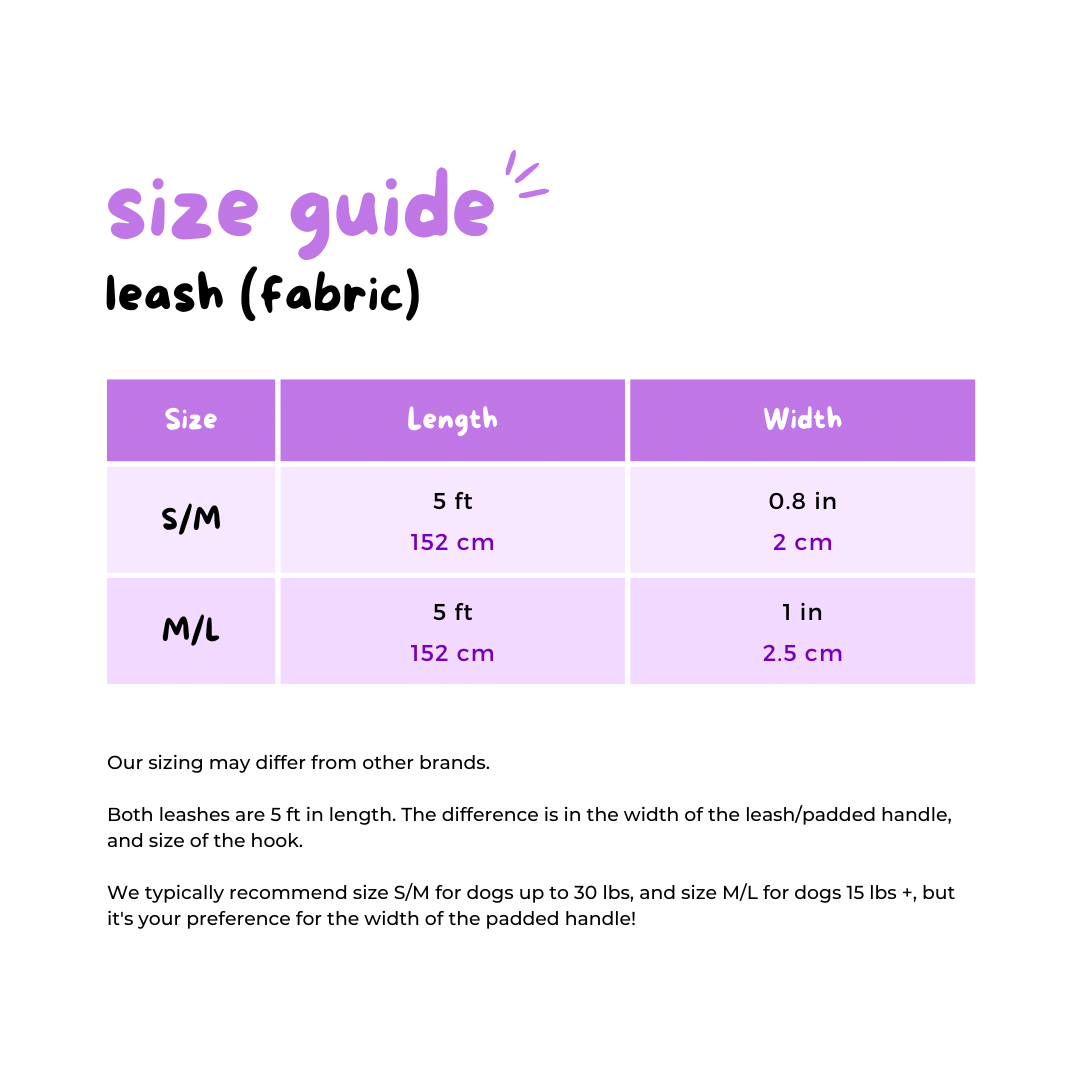 Ultimate Exploration No-Pull Harness Bundle Set - Shark (4-Piece)