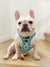 Step-In Dog Harness - Adorabao