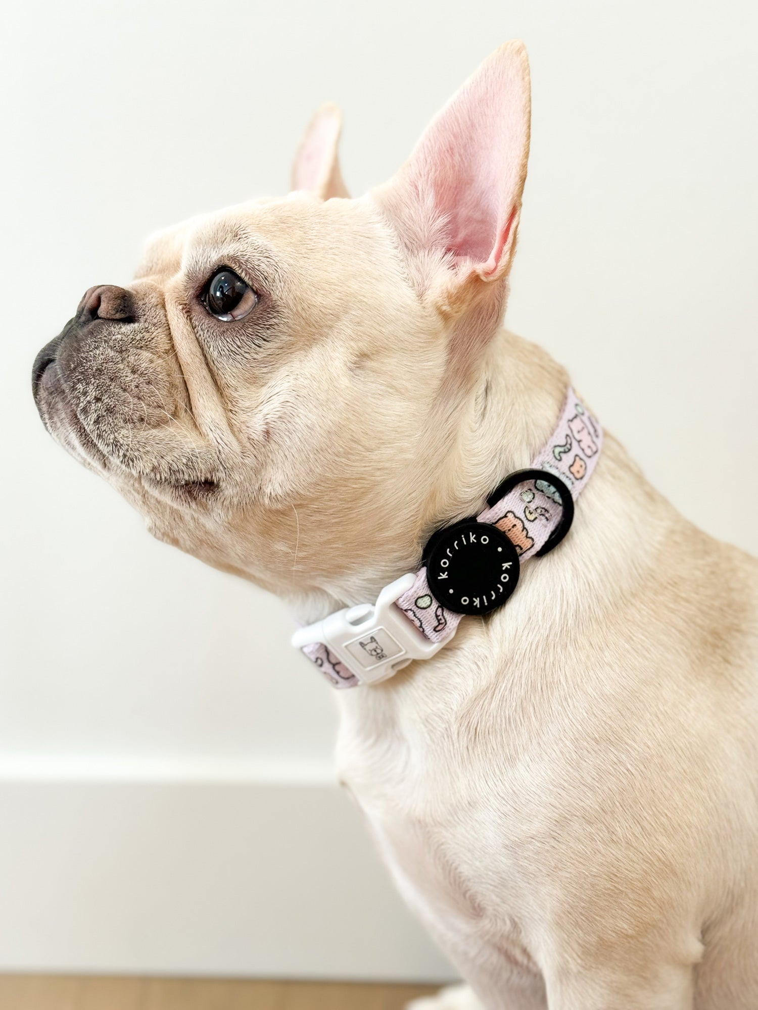 Dog Collar - Gummy Bear