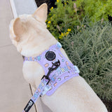 Exploration No-Pull (Step-In) Dog Harness - Gummy Bear