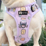 Exploration No-Pull (Step-In) Dog Harness - Gummy Bear
