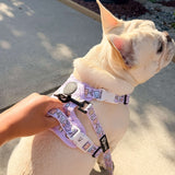 Exploration No-Pull (Step-In) Dog Harness - Gummy Bear