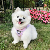 Ultimate Step-In Harness Bundle Set - Gummy Bear (6-Piece)