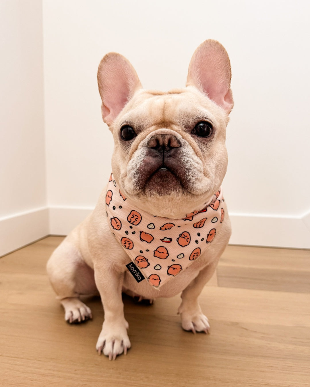 Cooling Dog Bandana - Potato