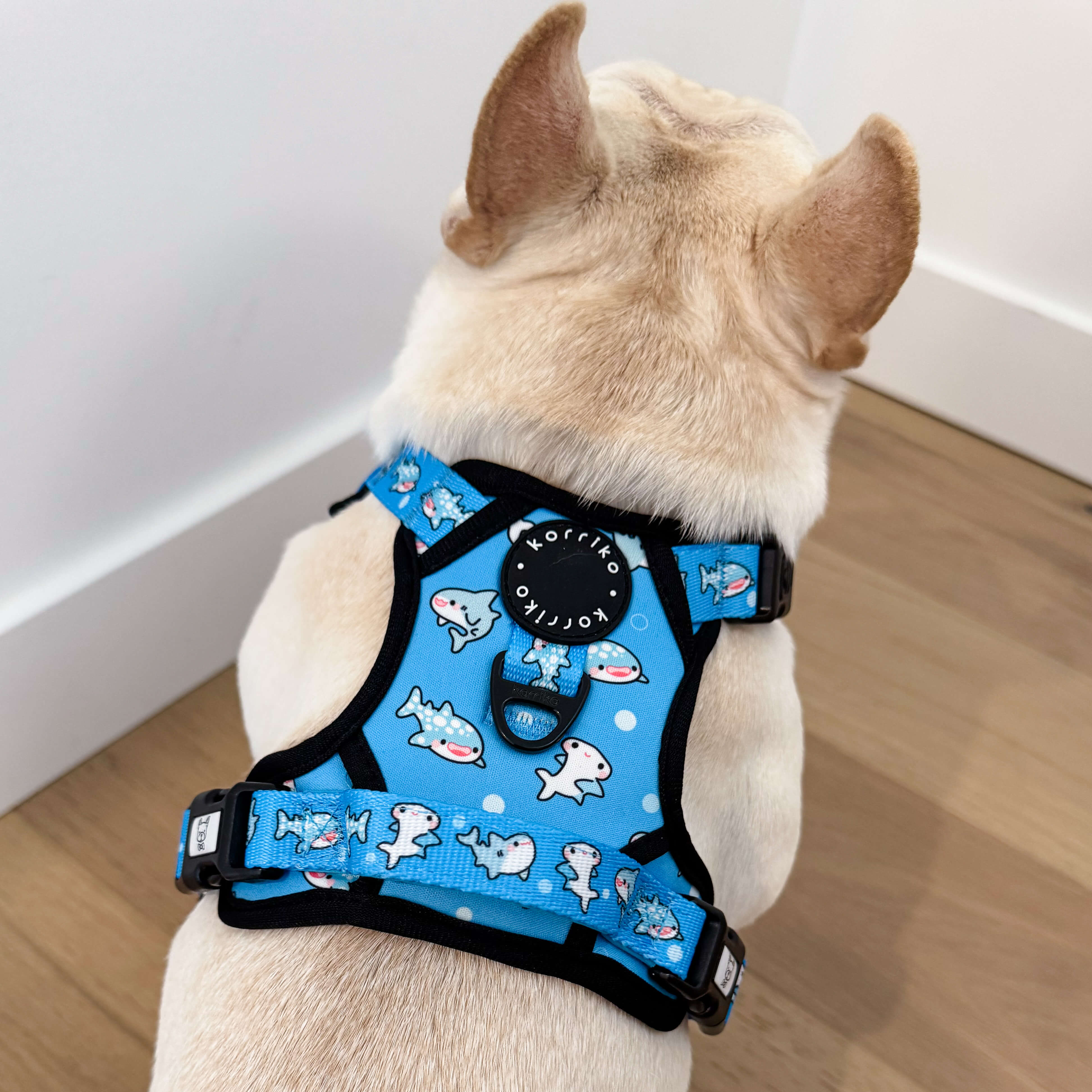 Exploration Lite No-Pull Dog Harness - Shark