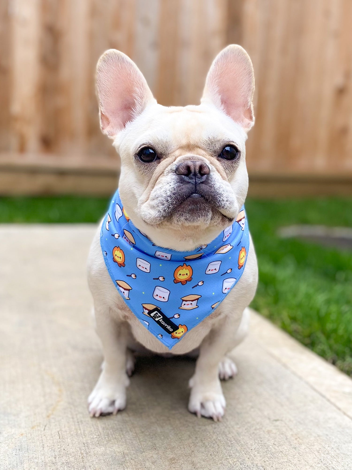 Cooling Dog Bandana - S'mores