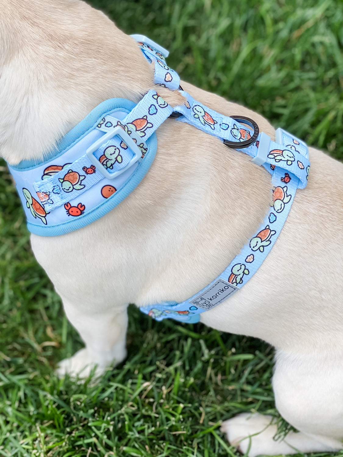 Adjustable Dog Harness - Under The Sea