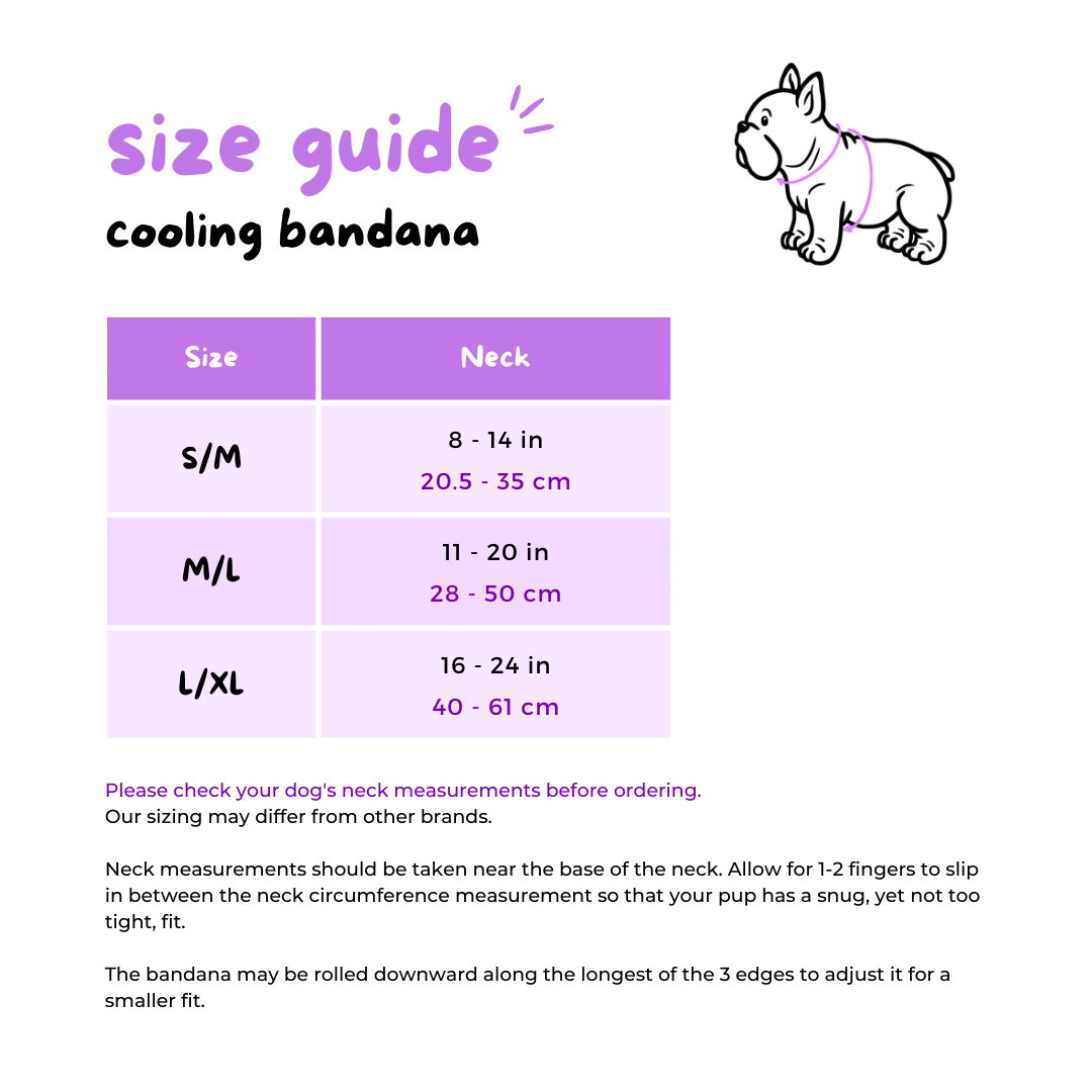 Harness Bundle Set - Pizza