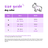 Ultimate Exploration No-Pull Harness Bundle Set - Dino (6-Piece)