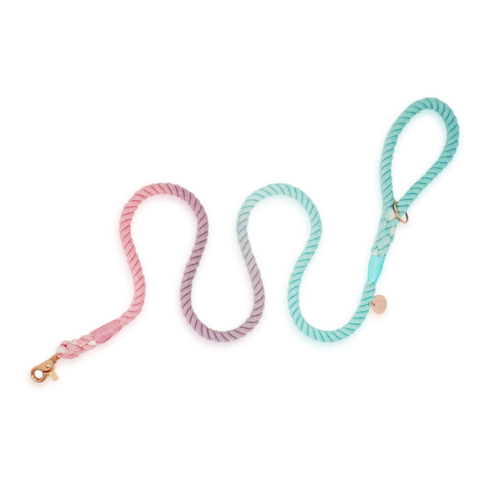 Cotton Rope Leash - Aquatic