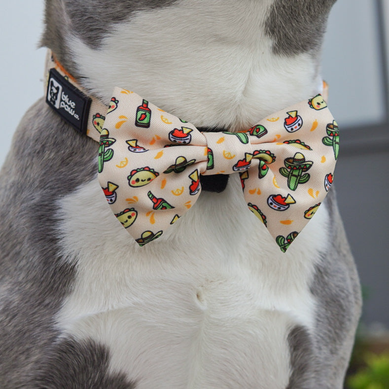 taco fiesta bow tie
