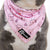 Cooling Dog Bandana - Piggin' Out (SECONDS - FINAL SALE)