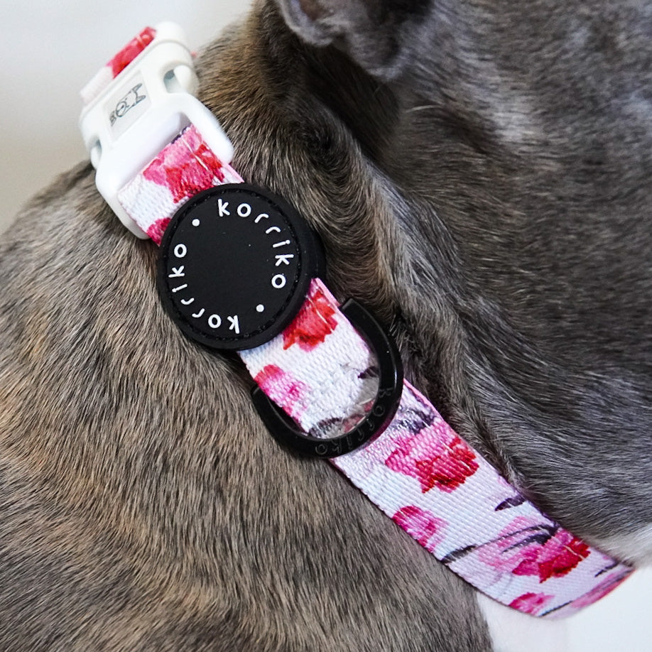 Dog Collar - Rosa (Final Sale)